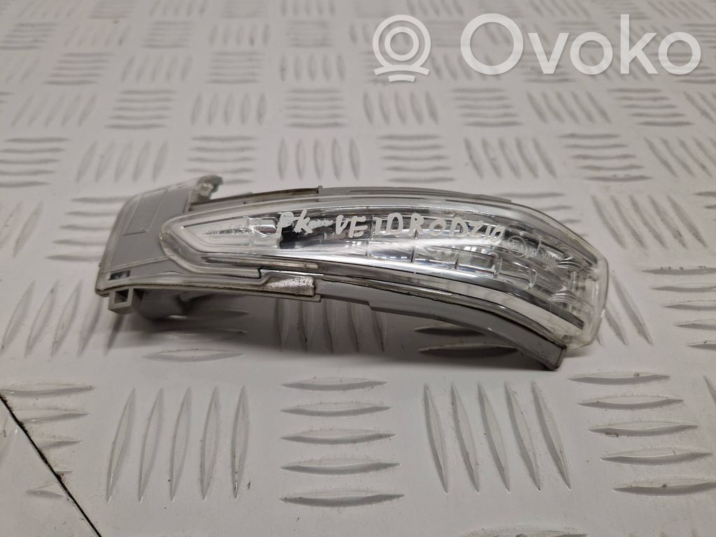 Mirror indicator light   E1013008