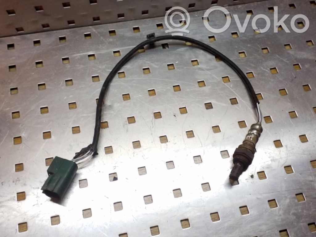 Sonda lambda   OZA554N5