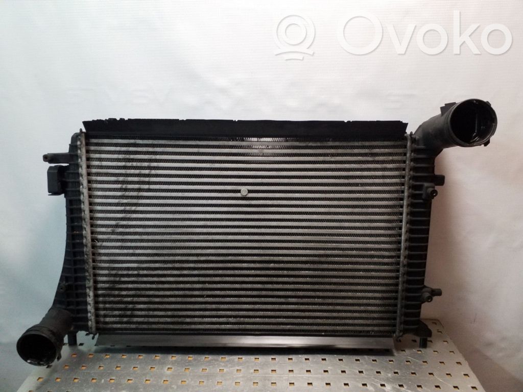 Volkswagen PASSAT B6 Interkūlerio radiatorius 