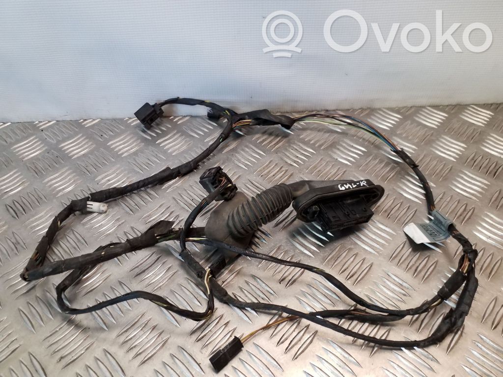 BMW 3 E46 Cableado de puerta trasera 
