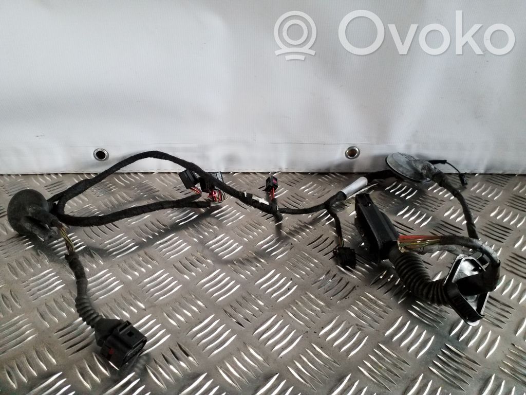 Audi A6 C7 Cableado de puerta trasera 