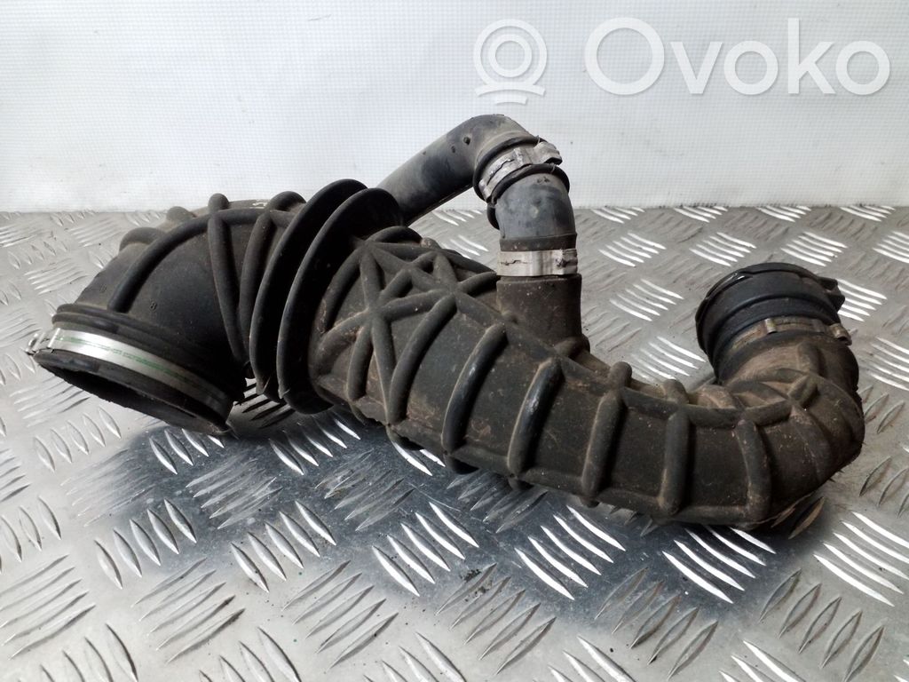 Ford Focus Žarna (-os)/ vamzdis (-džiai) 