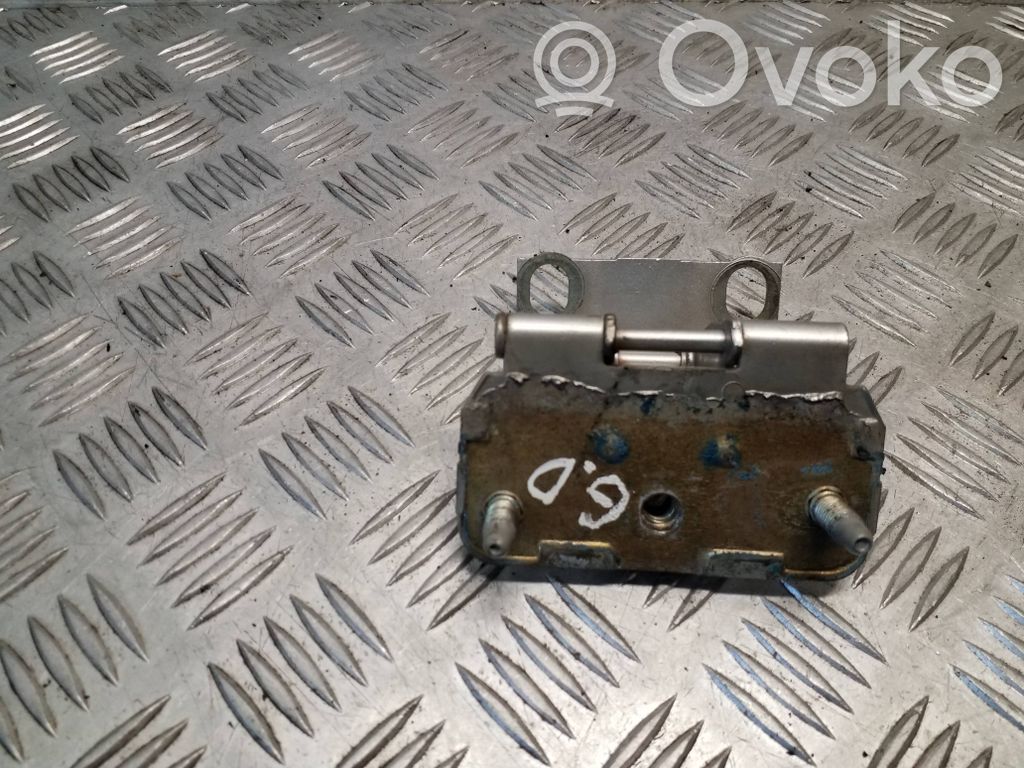 Tailgate/trunk/boot hinge