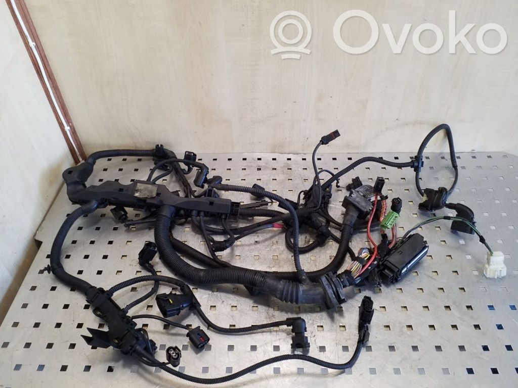 Engine installation wiring loom   7802196,12517802196