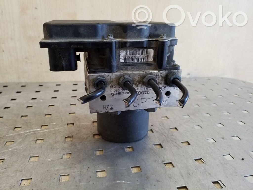 Audi A6 S6 C6 4F ABS Blokas 