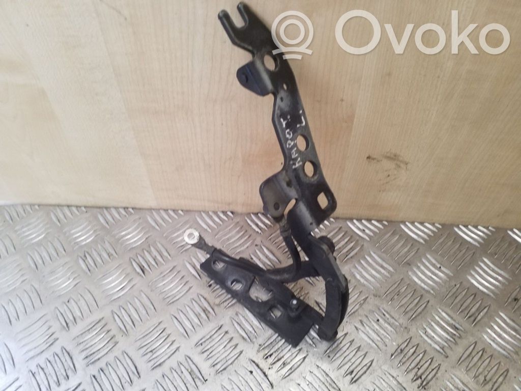 BMW X5 E53 Engine bonnet/hood hinges 