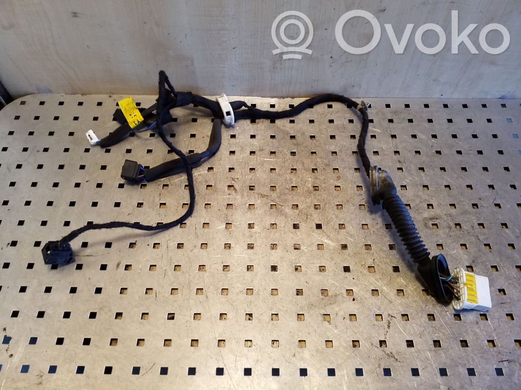 Opel Antara Cableado de puerta trasera 