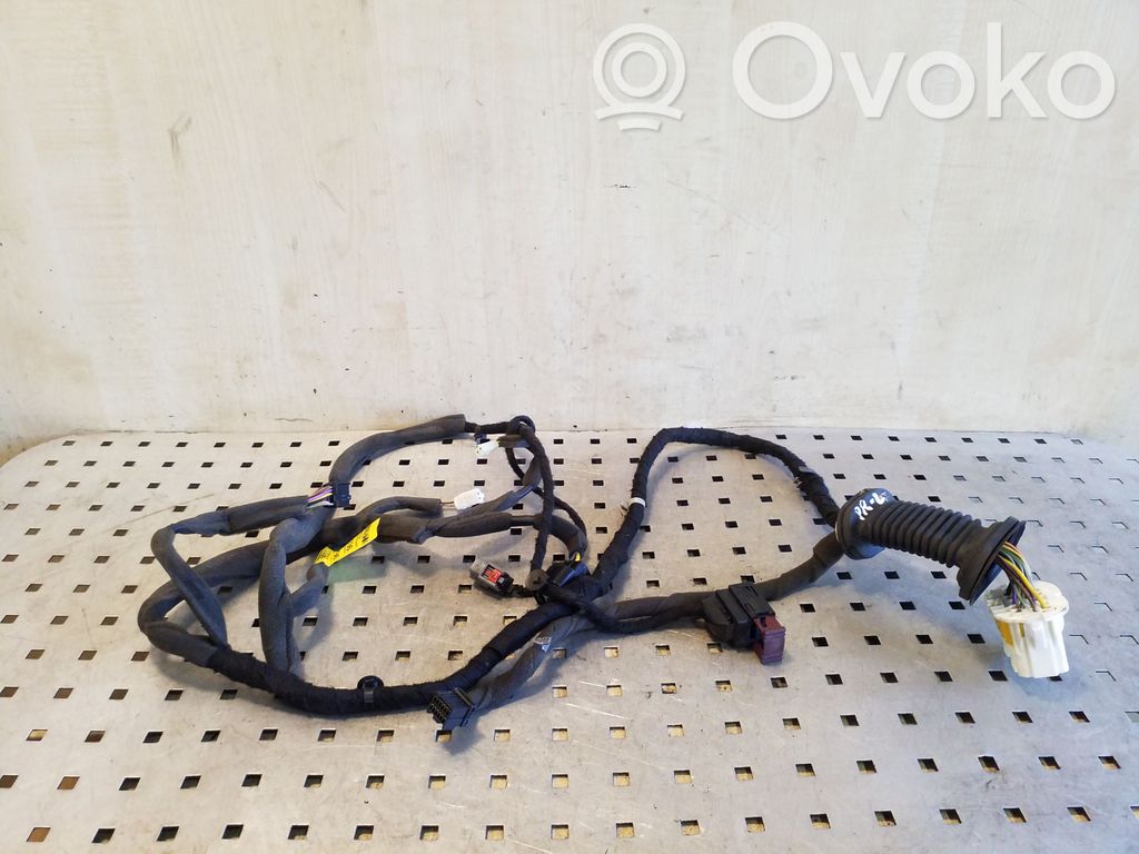 Opel Antara Cableado de puerta delantera 
