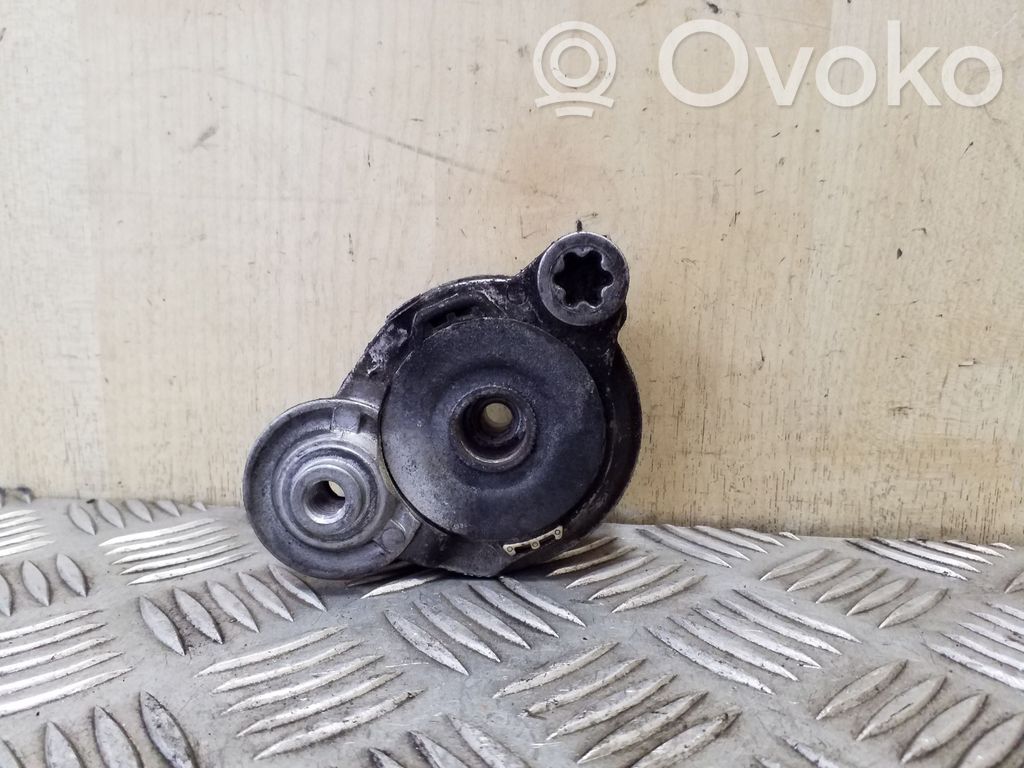 Volvo S80 Întinzător curea generator/alternator 