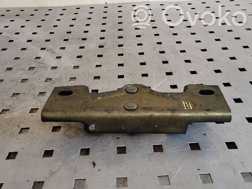 Tailgate lock loop/hook striker   9187825