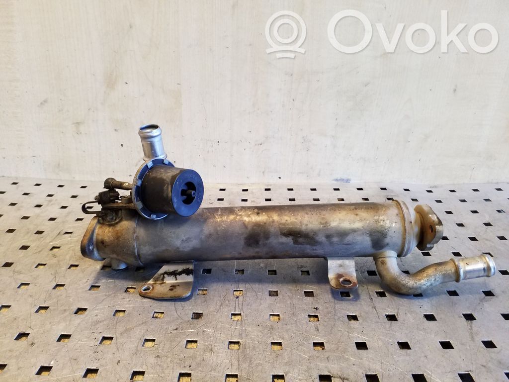 Volkswagen Tiguan Chłodnica spalin EGR 