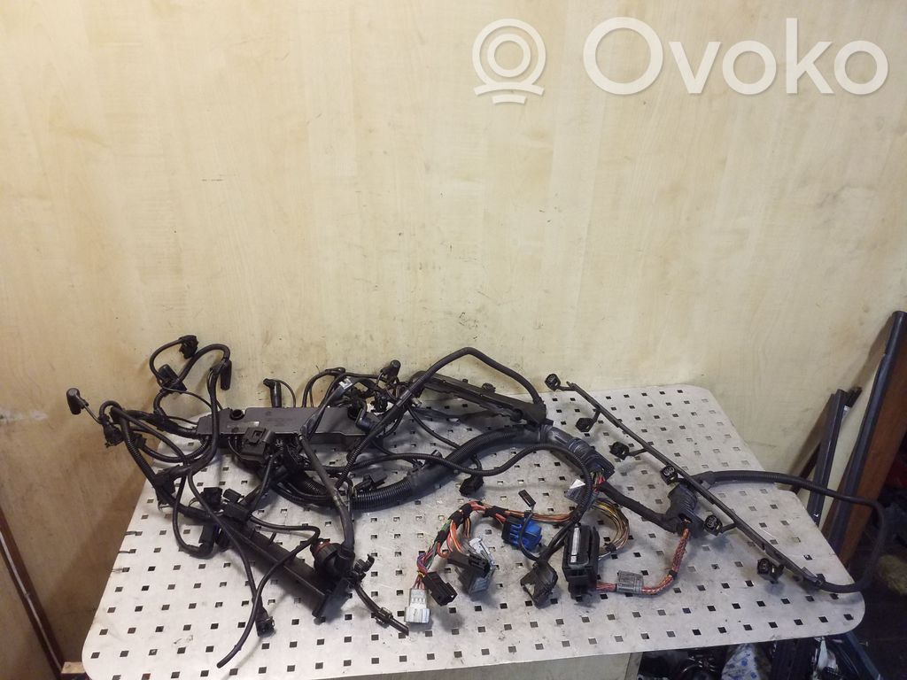 Engine installation wiring loom   779966104,779966204,780608001,779966204