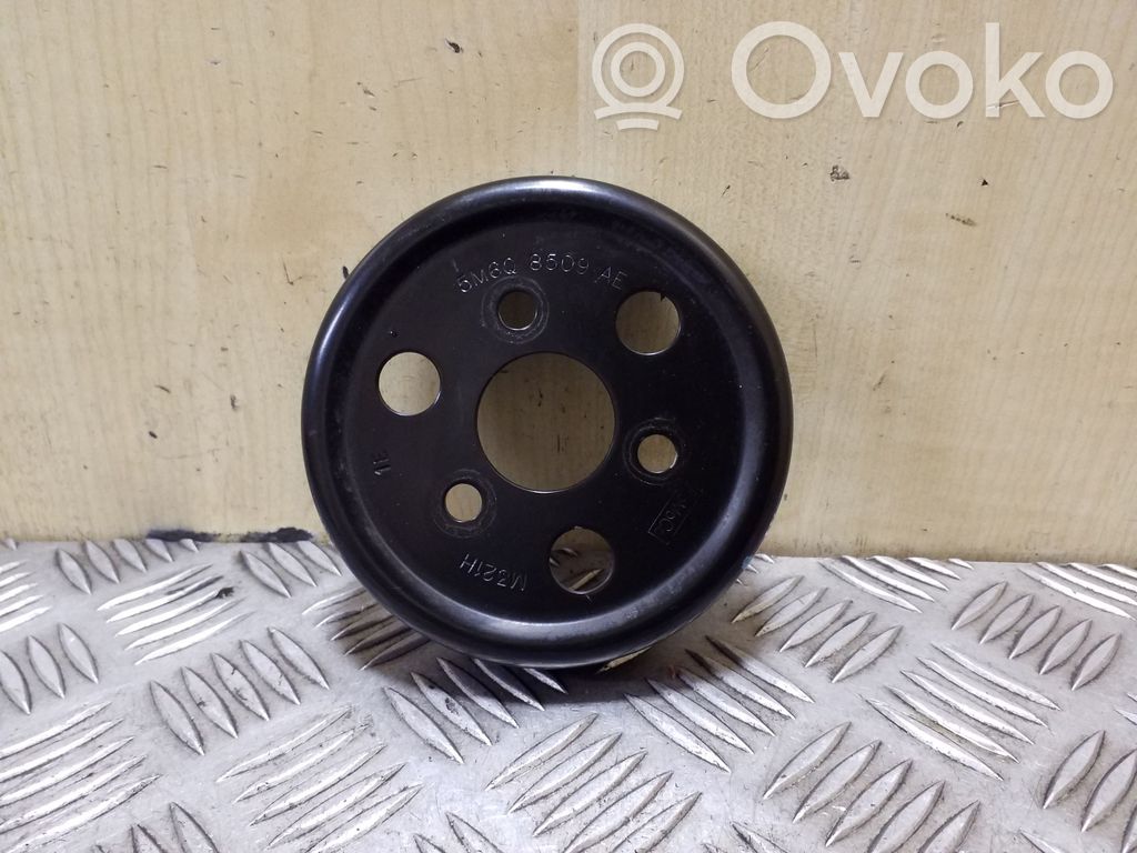 Volvo S60 Fulie pompă apă 