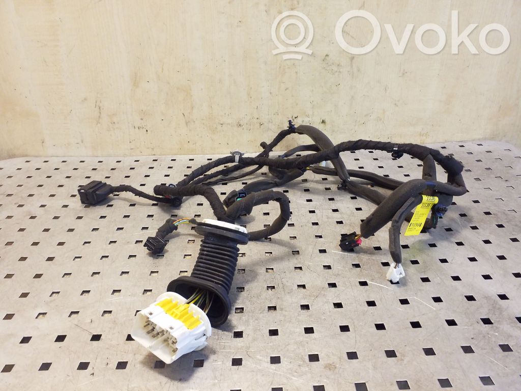 Opel Antara Cableado de puerta delantera 