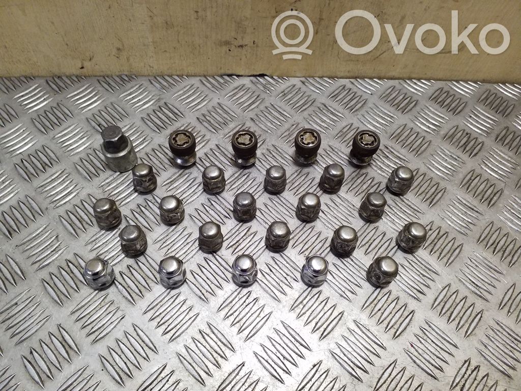 Opel Antara Piulițe/șuruburi 
