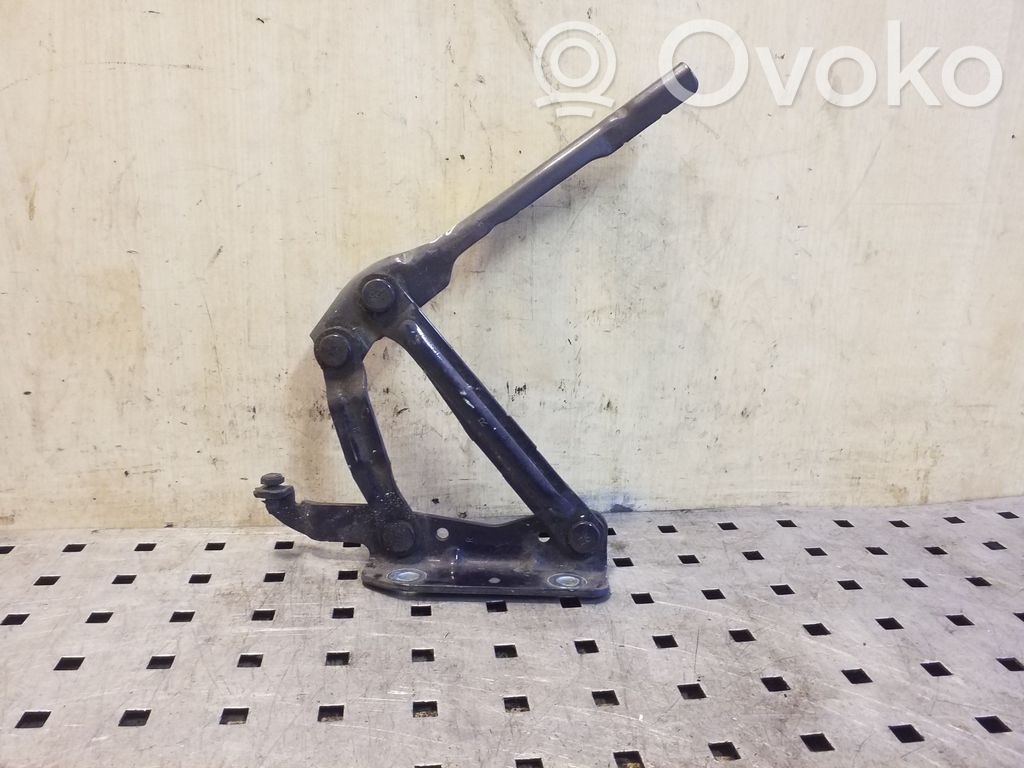 Volkswagen Eos Cerniere del vano motore/cofano 