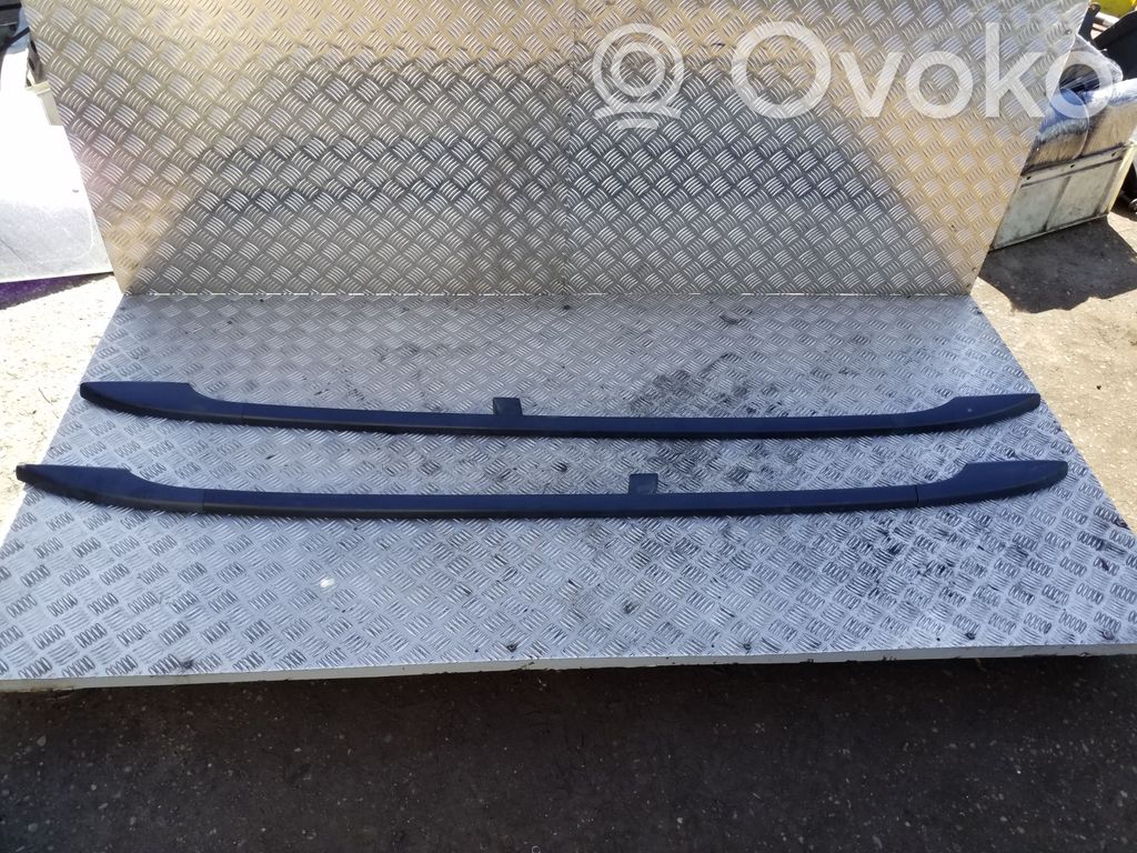 Volkswagen PASSAT B7 Binario barra tetto