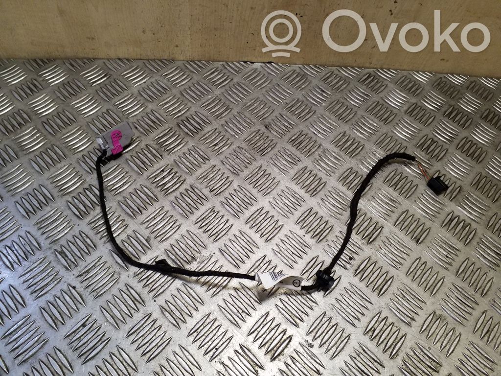 Volkswagen PASSAT B7 Cableado de puerta delantera 