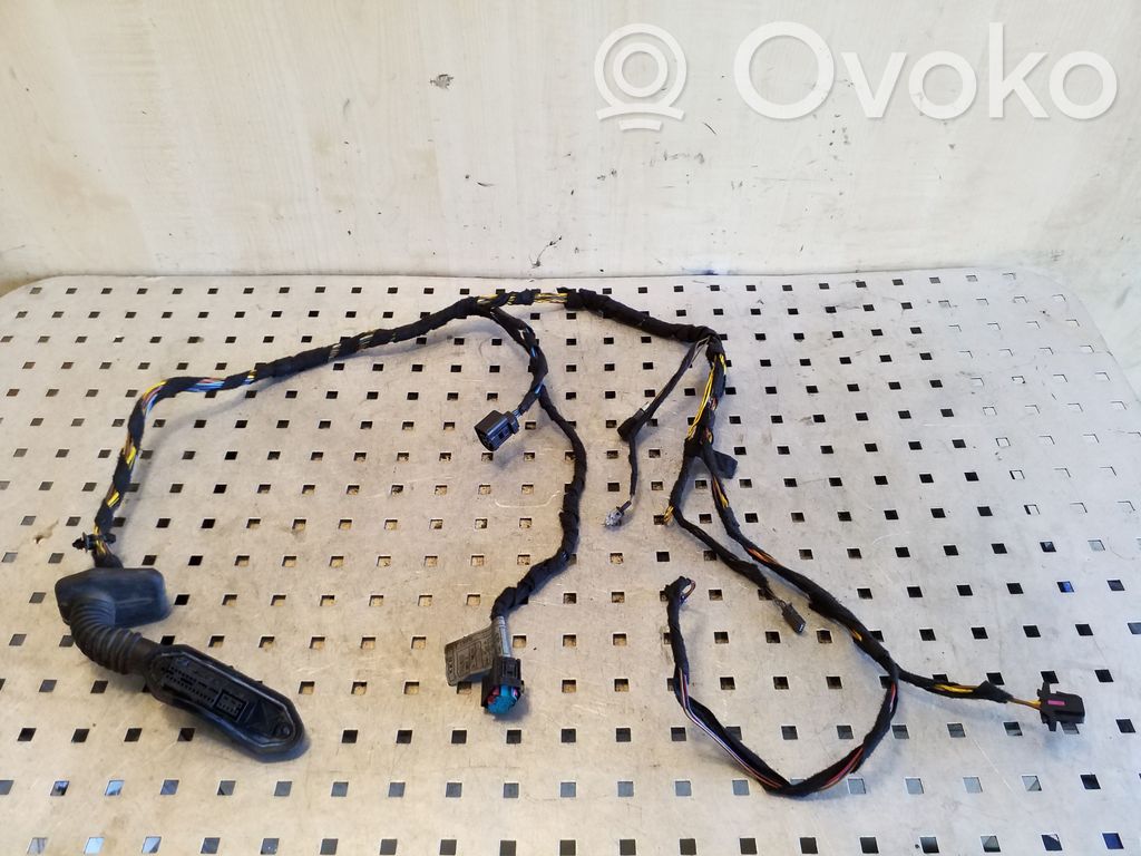 BMW X5 E53 Cableado de puerta trasera 
