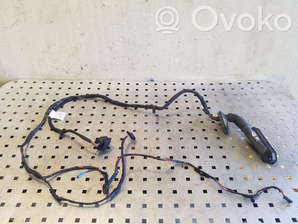 Mini Cooper Countryman R60 Cableado de puerta trasera 