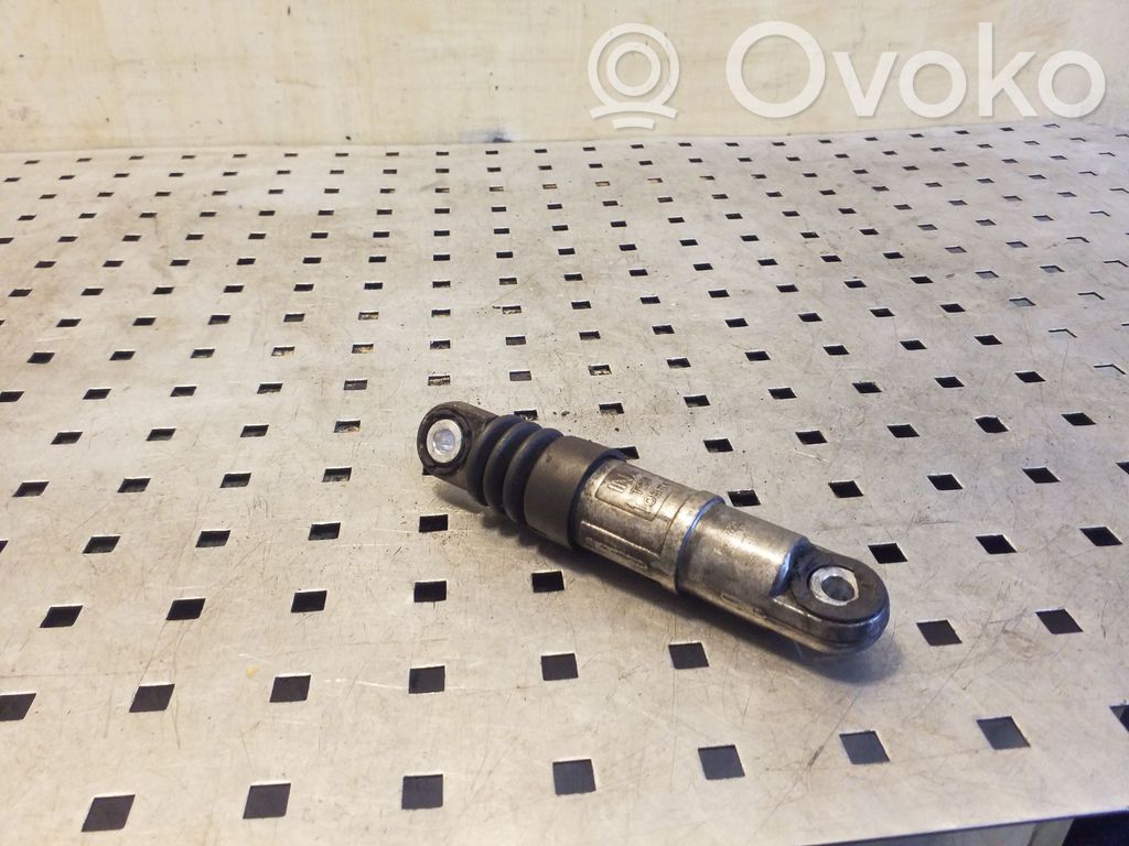 Subaru Outback Napinacz paska alternatora 