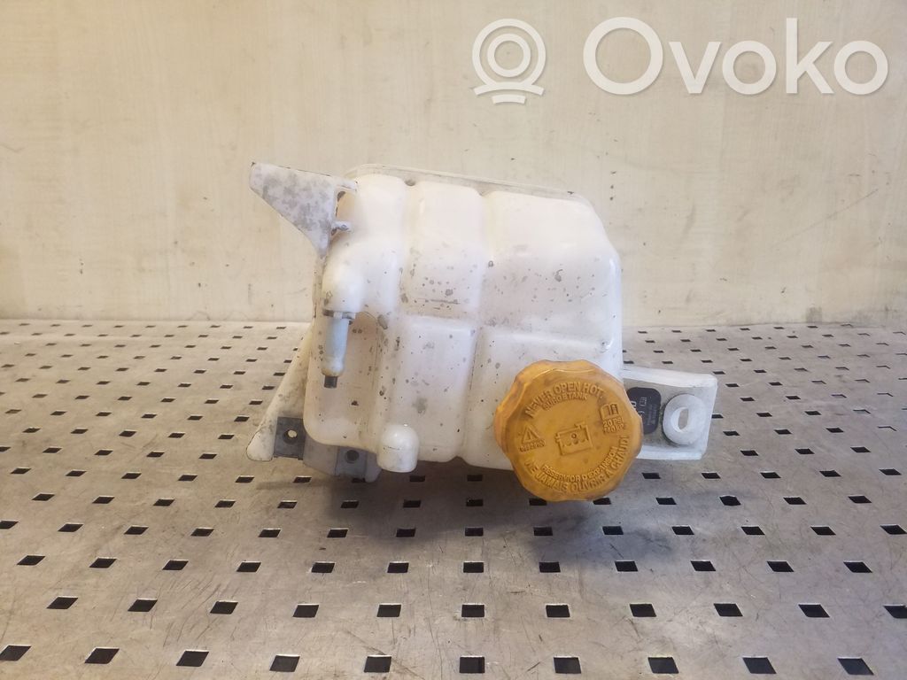 Chevrolet Captiva Serbatoio di compensazione del liquido refrigerante/vaschetta 