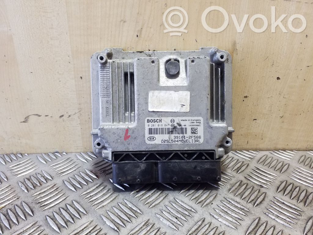 KIA Sportage Engine control unit/module 