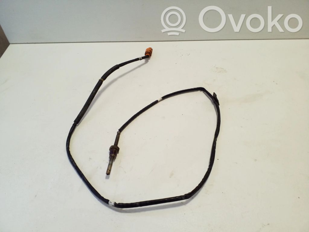 Volkswagen Amarok Exhaust gas temperature sensor 