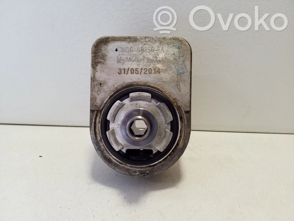 Ford Ecosport Supporto di montaggio del filtro dell’olio 