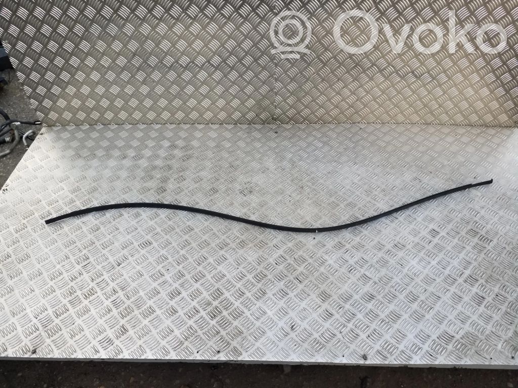 Toyota Corolla E210 E21 Dachzierleiste 