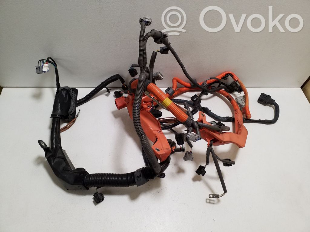 Lexus NX Cablaj motor 