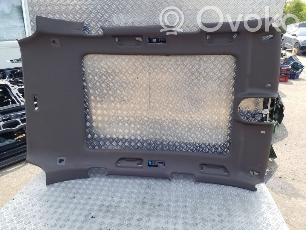 Porsche Cayenne (92A) Techo 