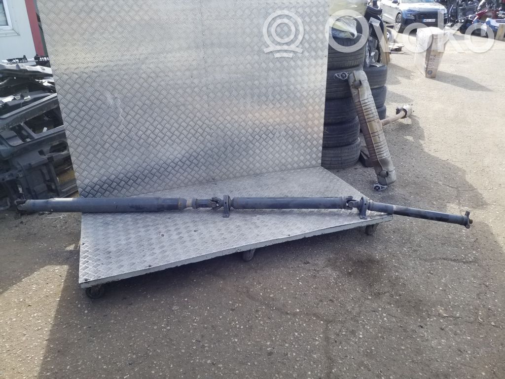 Hintere Kardanwelle