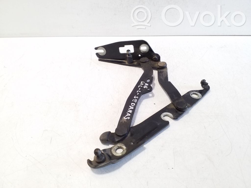 Tailgate/trunk/boot hinge   4F5827301