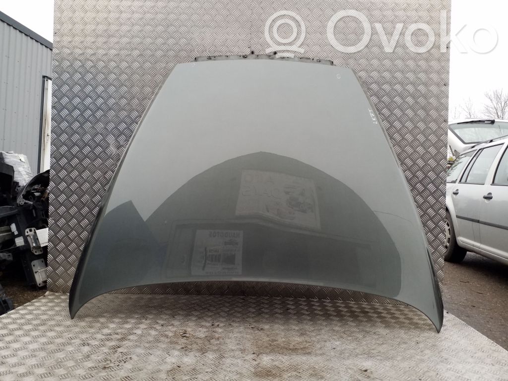 Motorhaube