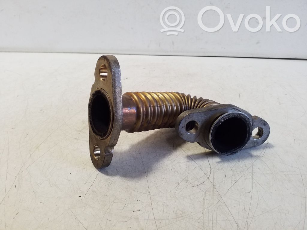 EGR-linjan letku   31338533