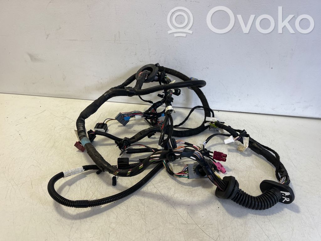 Tesla Model S Cableado de puerta delantera 
