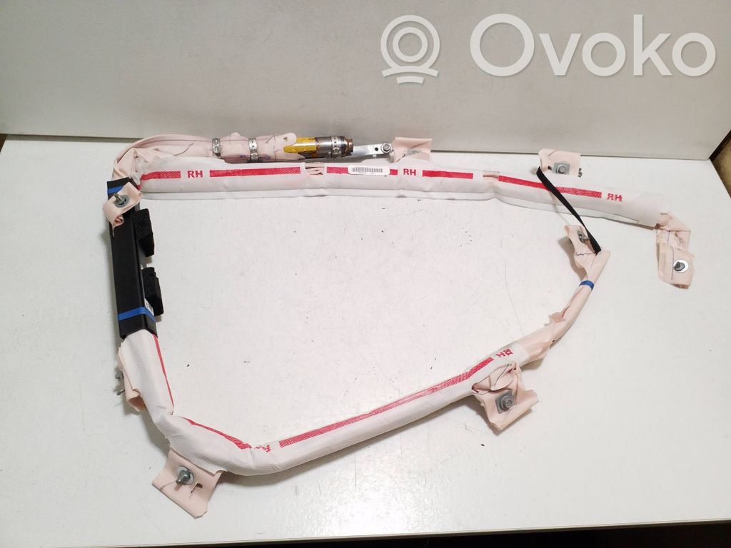 Airbag del techo   100526200E