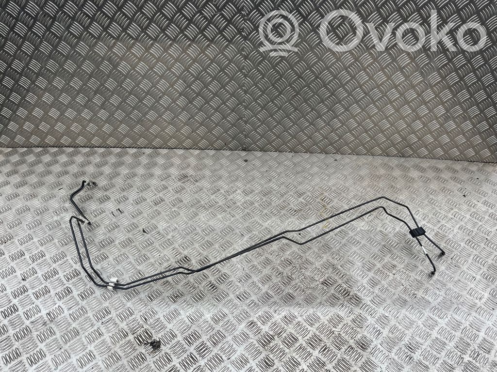 Tesla Model S Conductă/furtun servofrână 