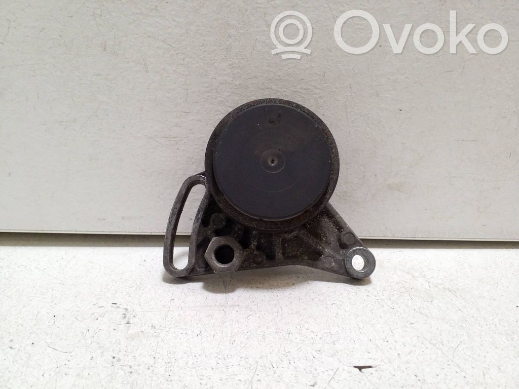 Volkswagen PASSAT B5.5 Întinzător curea generator/alternator 