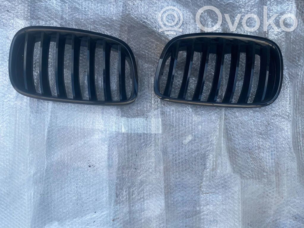 BMW X5 E70 Front grill 