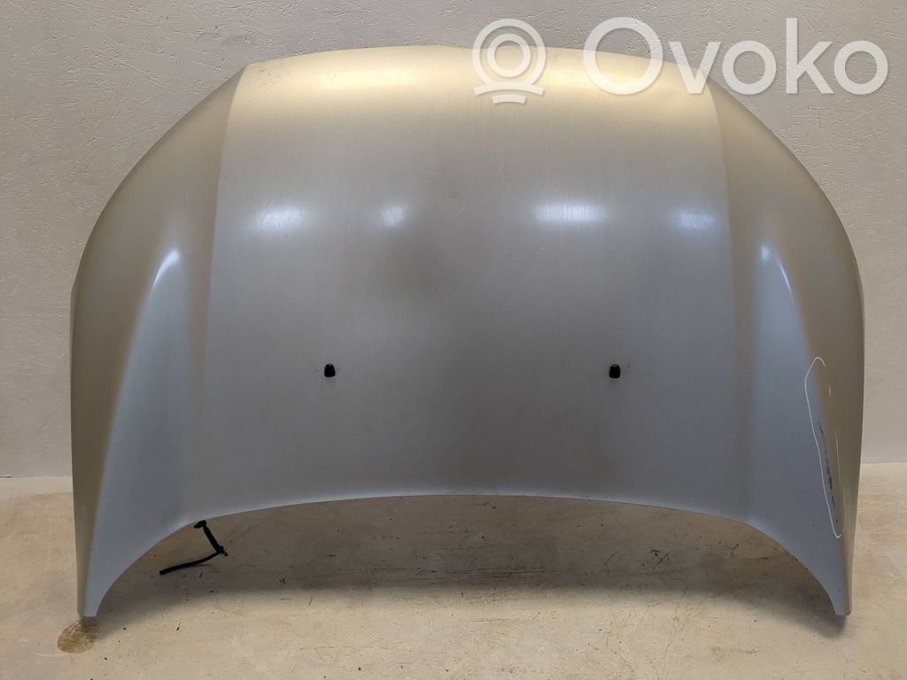 Engine bonnet/hood