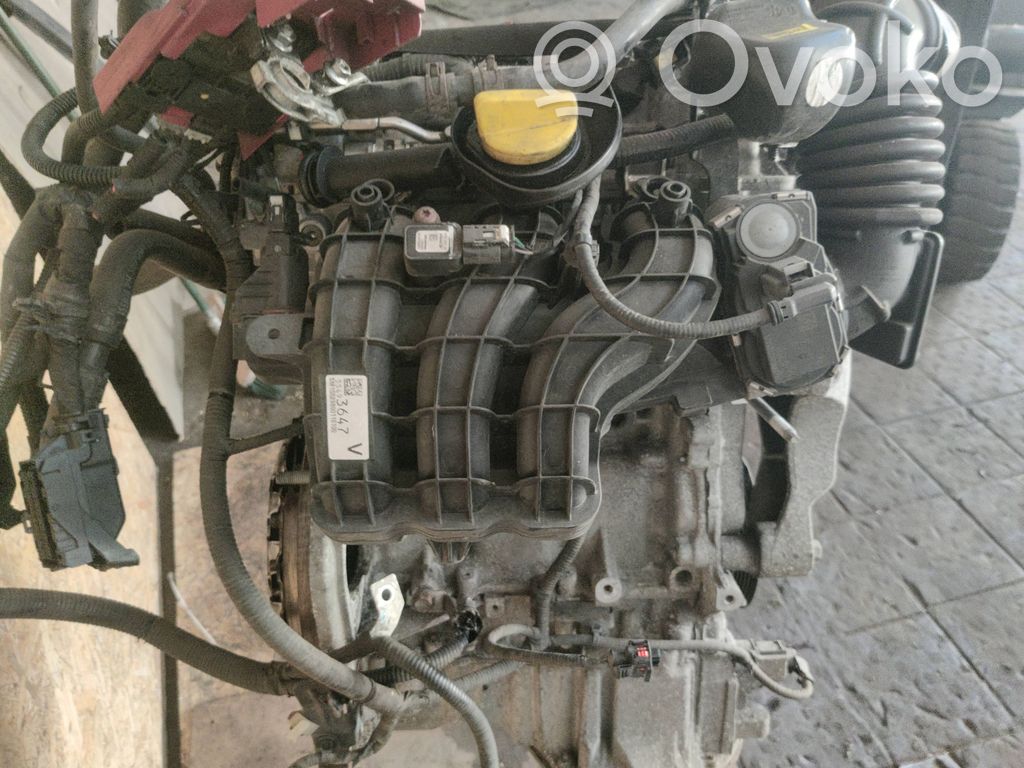 Двигатель   B10XE