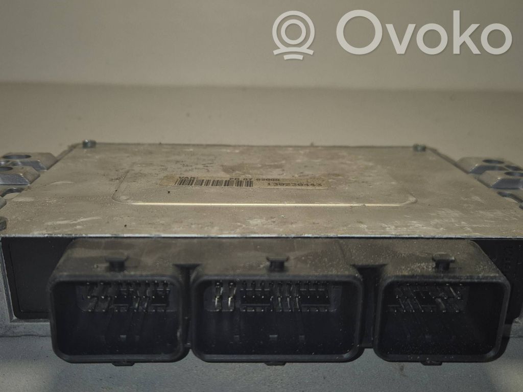 Peugeot 206 Engine control unit/module 