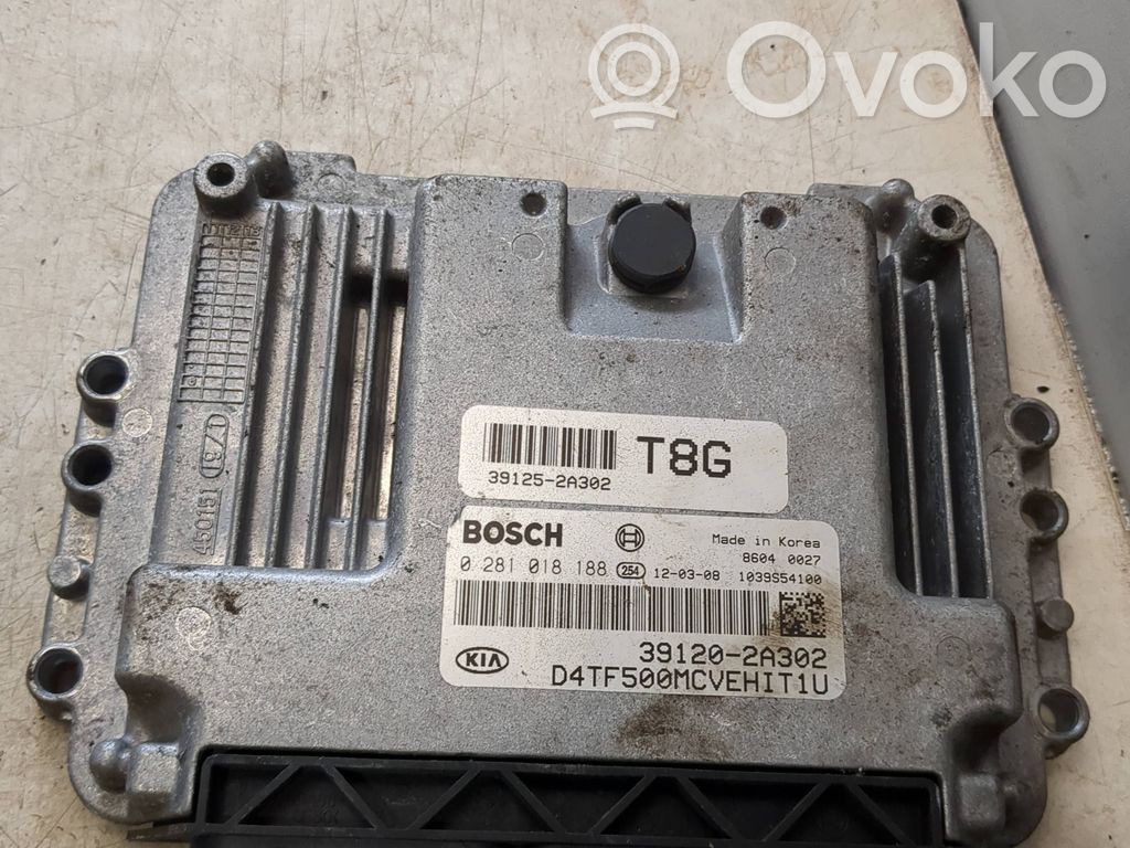 KIA Optima Engine control unit/module 