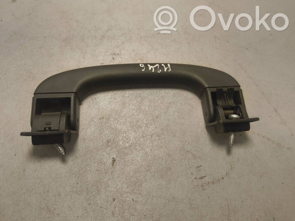BMW X5 E70 Asidero interior delantero 