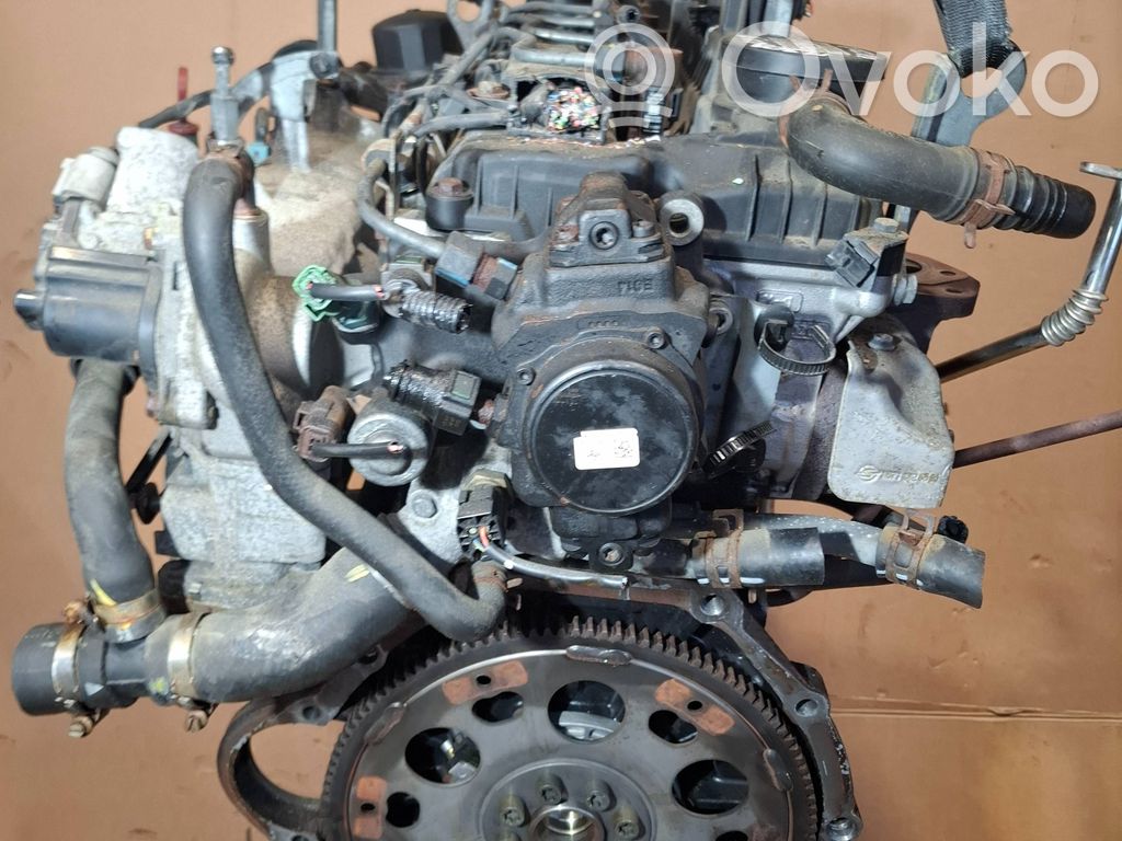 Variklis   D20T,671958