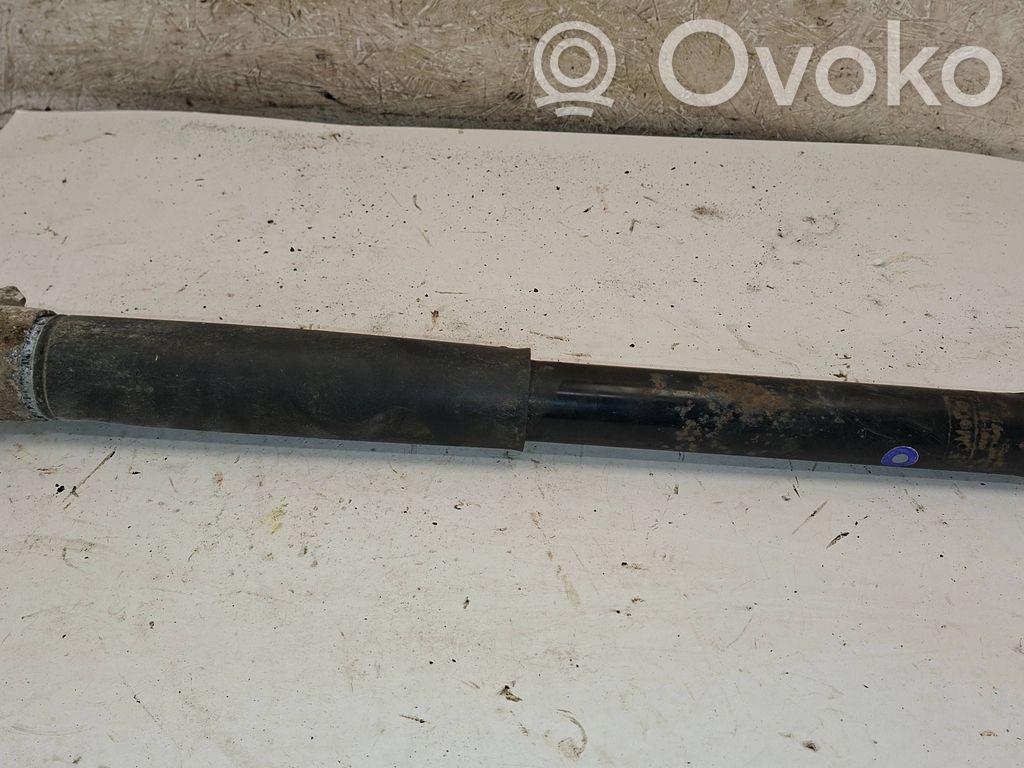 Ford Kuga II Rear shock absorber/damper 