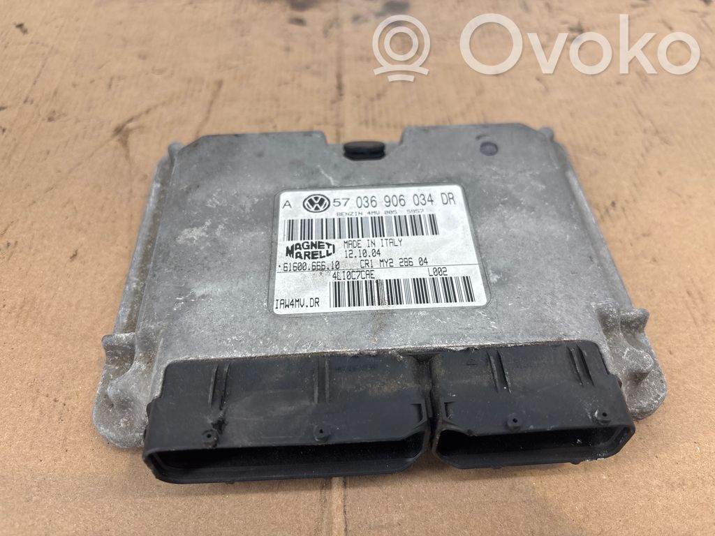 Volkswagen Bora Engine control unit/module 