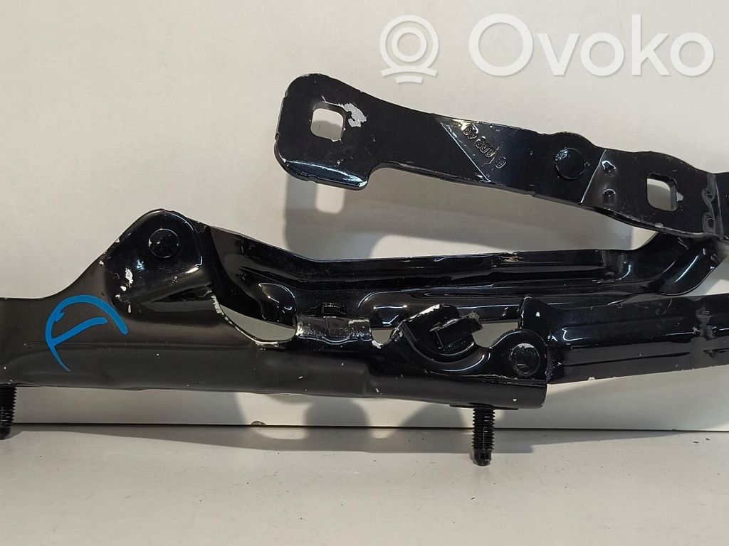 Tesla Model 3 Tailgate hinge 